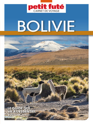 cover image of BOLIVIE 2024 Carnet Petit Futé
